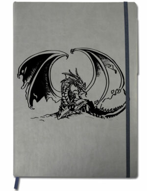 Agenda 2013 Dragon, 24 x 17,5 cm
