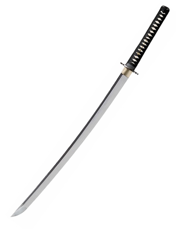 Katana Warrior | Histophile